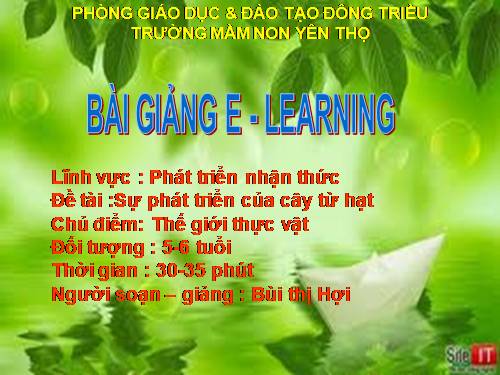 bai giang E - Learning : Su phat trien cua cay tu hat