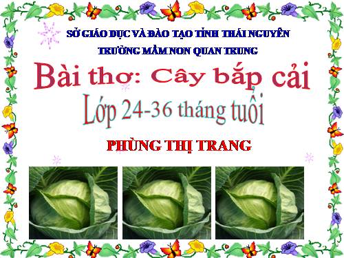 giáo án cây bắp cải