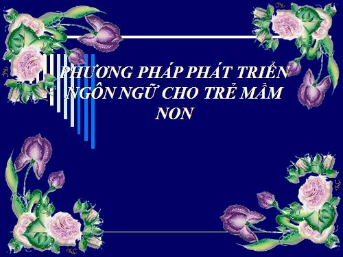 phuong tien giao thong