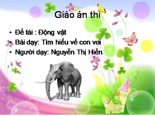 Tìm hiểu về con Voi