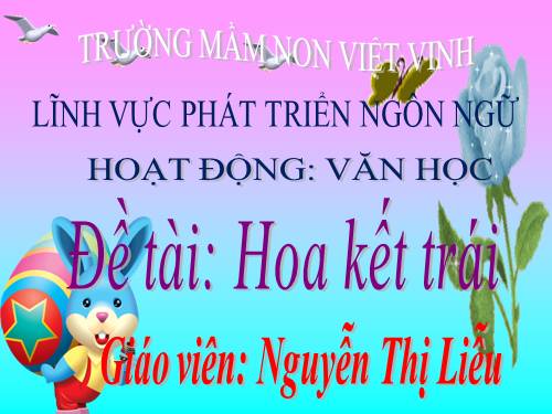 LIỄU MN VV