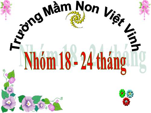 LIỄU MNVV