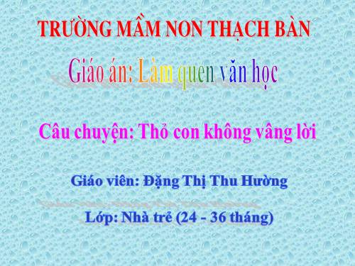 Thỏ con không vâng lời