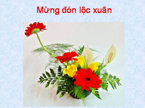 bình hoa ngày tết