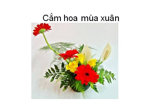 cắm hoa mùa xuân