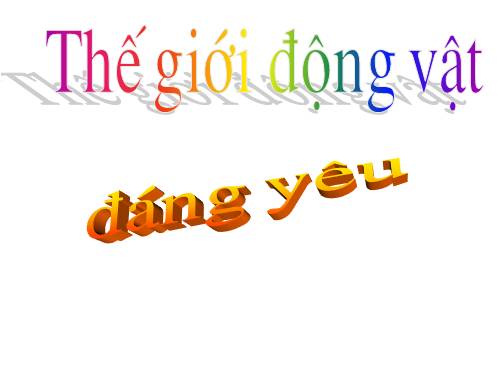 anh the gioi dong vat