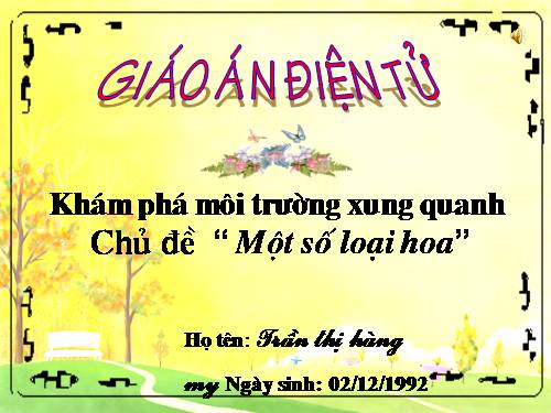 khám phá môi trường xung quanh