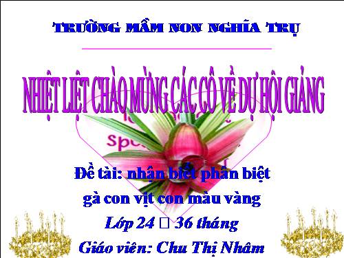 nhan biet phan biet ga con vit con mau vang