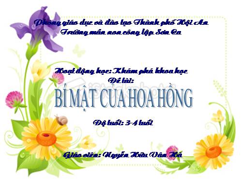 bí mật của hoa hồng