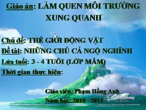 tìm hieu về cá