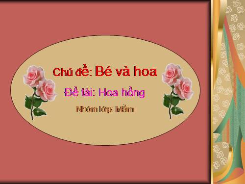 Hoa hồng