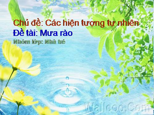 Mưa rào