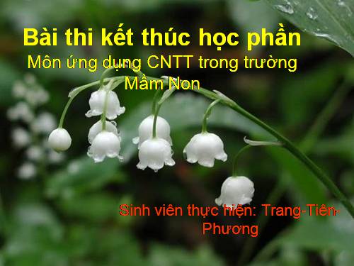 chuyện nàng công chú ngủ trong rừng