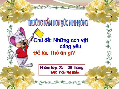 THỎ ĂN GÌ ( Từ 25 - 36 tháng )