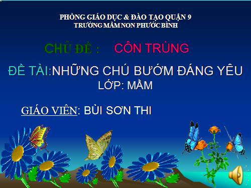 Côn trùng - lớp Mầm