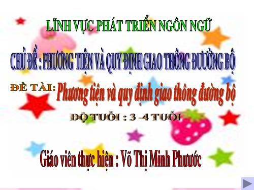 phuong tien giao thong duong bo