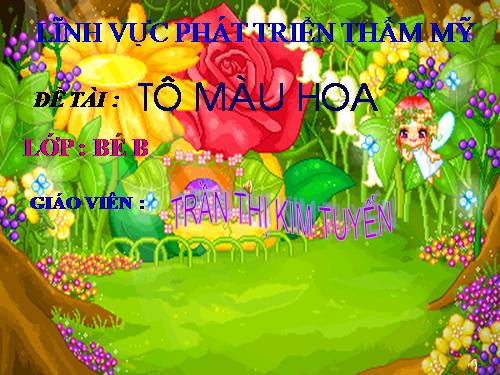 Lĩnh vực PTTM