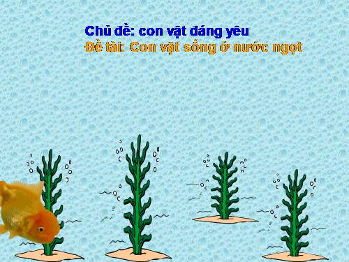 Con vật dưới nước