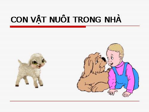 Con vật nuôi trong nhà