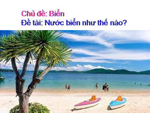 Biển như thế nào?