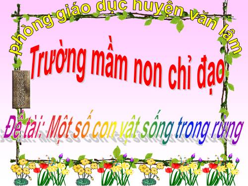 nhận biết một số con vật sống trong rừng