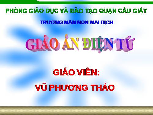 MTXQ Vòng đời của bướm