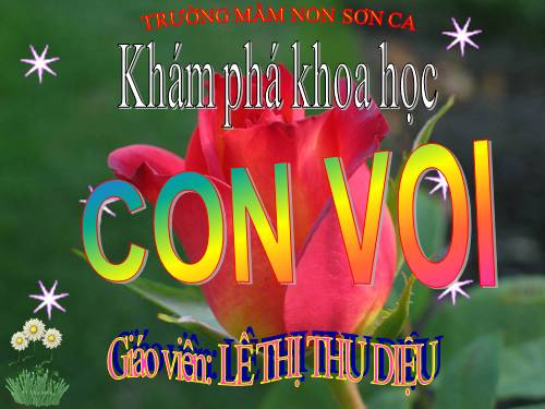 Bé tìm hiểu con voi