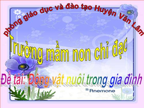 động vật nuôi trong gia đình có 4 chân