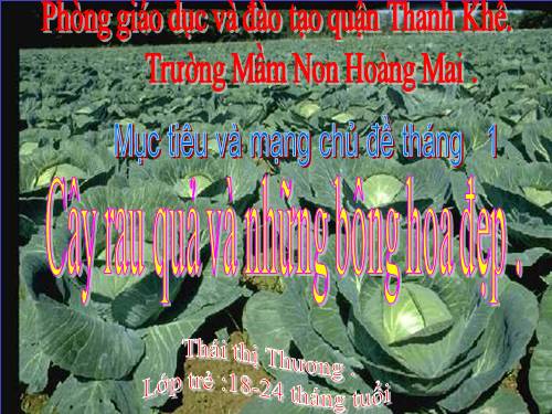 mạng chủ đề tháng 1-2011