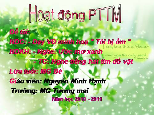 hoạt động phát triển thẩm mỹ