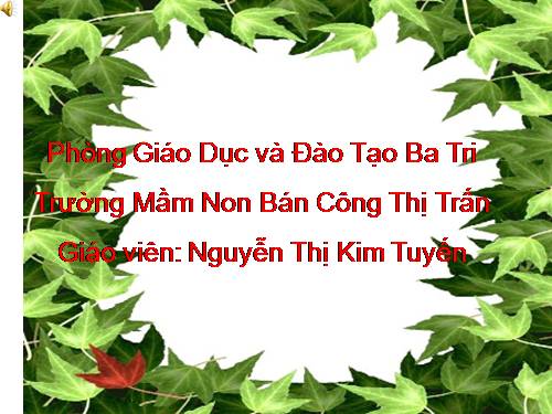 nhận biết phân biệt: GÀ CON - VỊT CON MÀU VÀNG