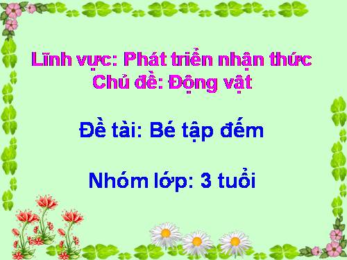 Lĩnh vực phát triển nhận thức