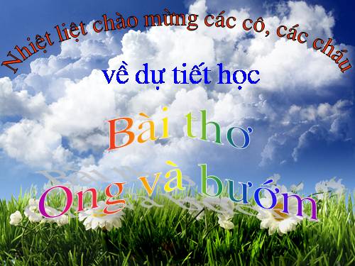 bai tho: Ong va buom