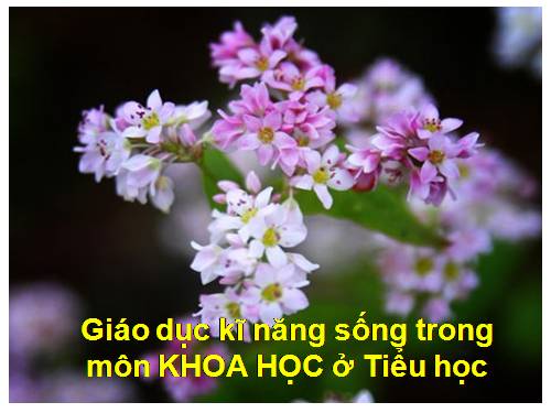 GD KNS MÔN KHOA HỌC