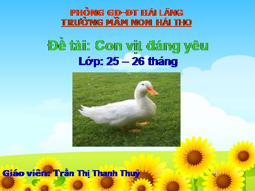 KHÁM PHÁ CON VỊT