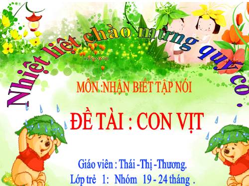 NBTN CON VỊT