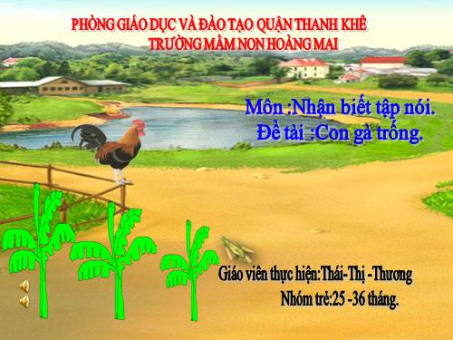 NBTN CON GÀ TRỐNG