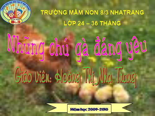 NHỮNG CHÚ GÀ ĐÁNG YÊU