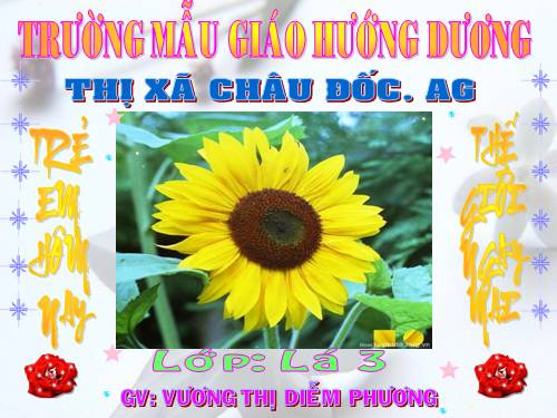 tạo hình những bông hoa