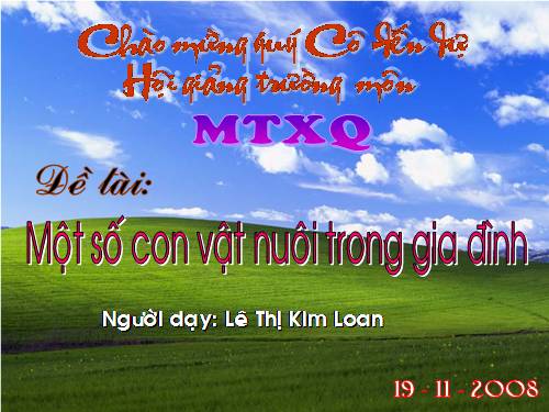 Một số con vật nuôi trong gia đình