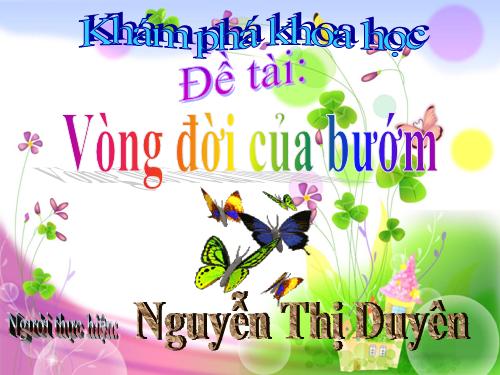 VÒNG ĐỜI CỦA BƯỚM