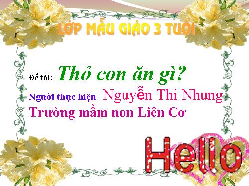 THỎ CON ĂN GÌ