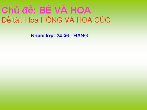 hoa hồng và hoa cúc