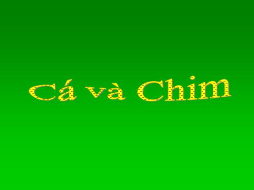 Chuyen Ca va chim NT