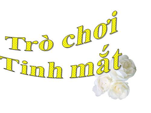 trò chơi tinh mắt hoa