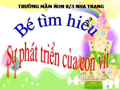 SU PHÁT TRIỂN CỦA CON VỊT