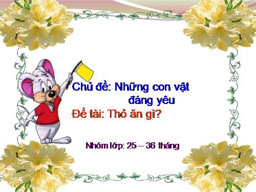 Thỏ con ăn gì?