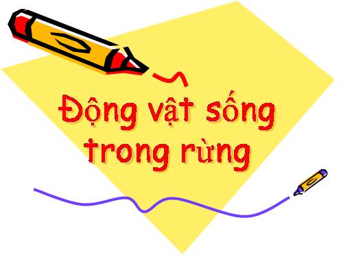 Động vật trong rừng