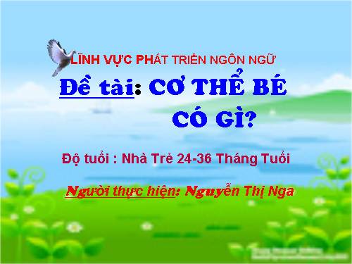 Lĩnh vực Phát triển ngôn ngữ.