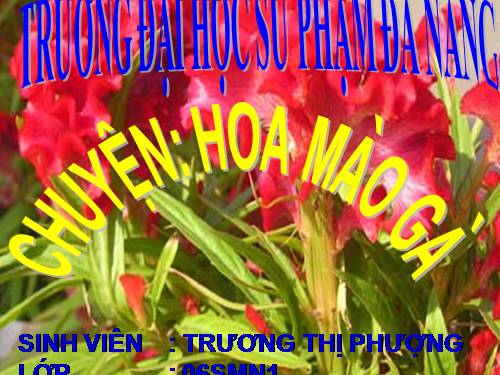 TRƯƠNG PHƯỢNG